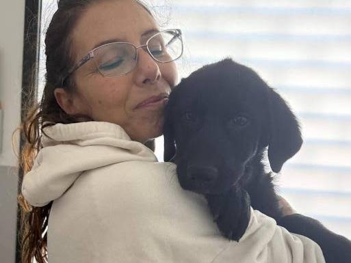 Vuoi adottare un cane a Palermo?