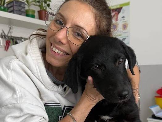 Adotta il cane COCO a Palermo