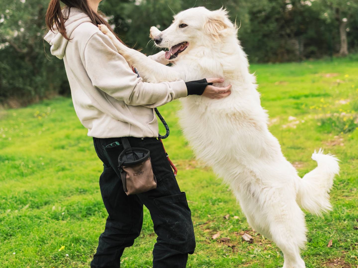 Vuoi adottare un cane a Bari?