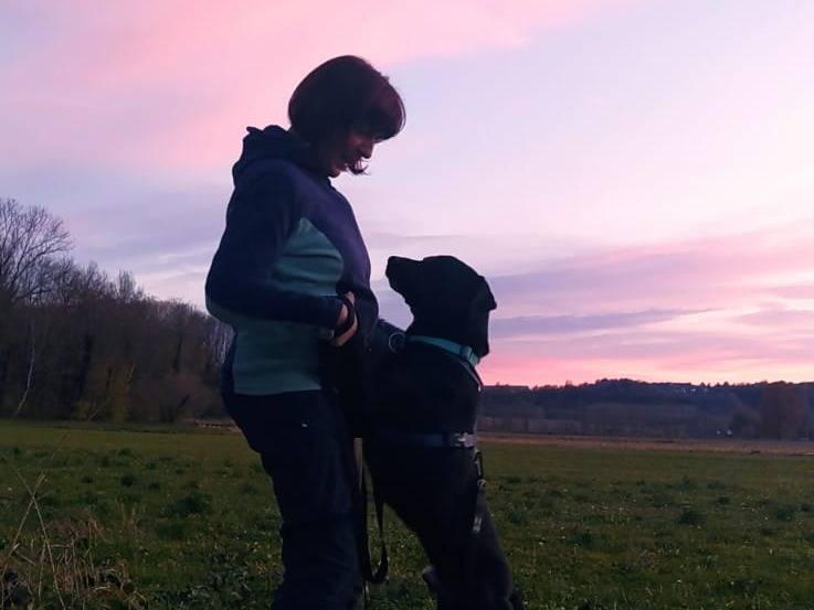 Adotta il cane FAUSTO a Torino