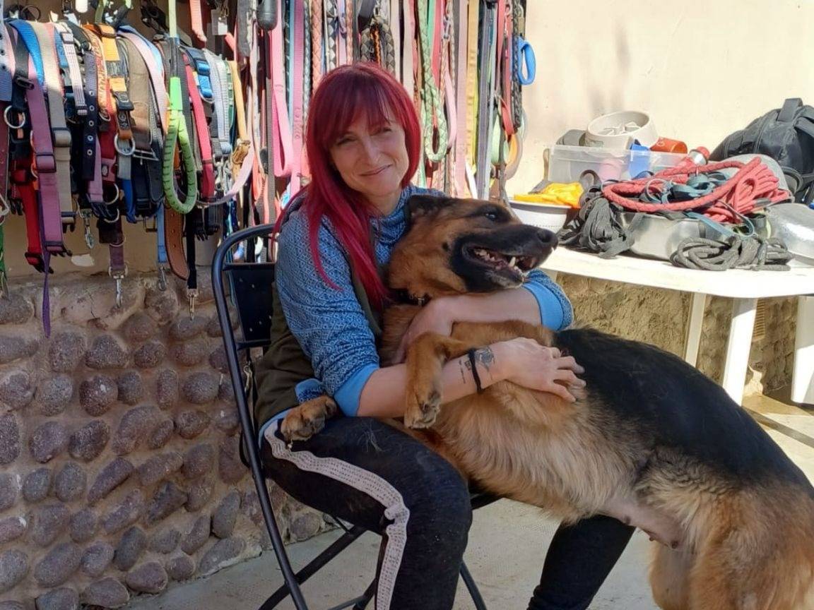 Adozione cane, femmina, Pastore tedesco Razza sconosciuta, 4 anni e 3 mesi, taglia grande, Torino