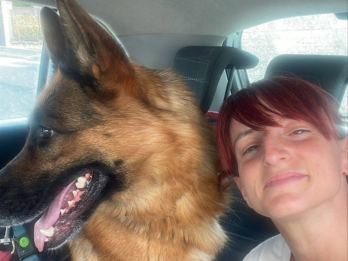 Vuoi adottare un cane a Torino?