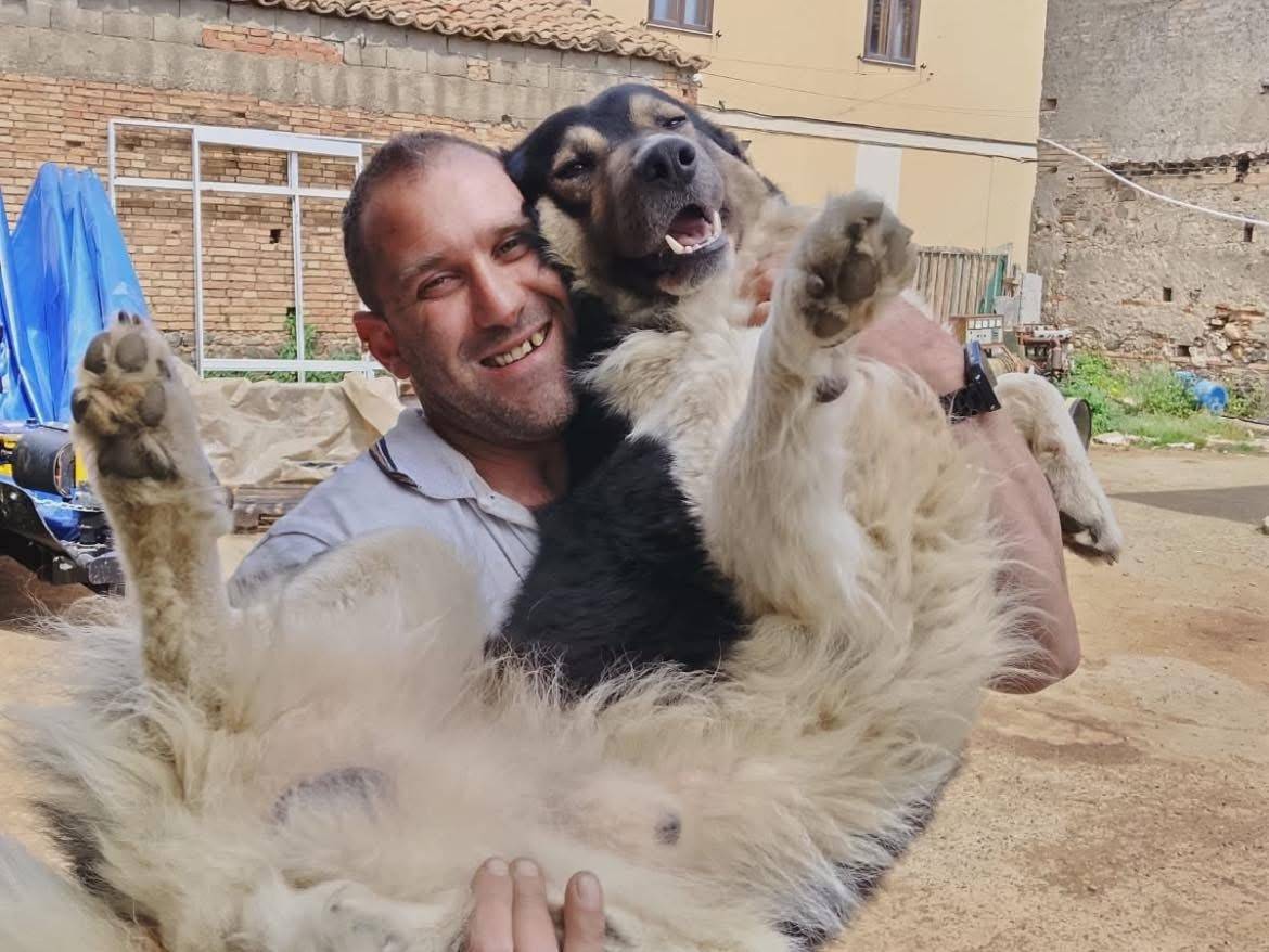 Adotta il cane BALU a Vibo