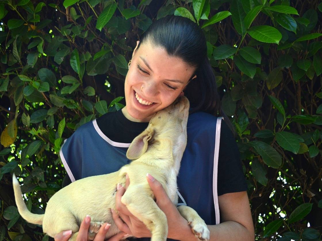 Vuoi adottare un cane a Roma?