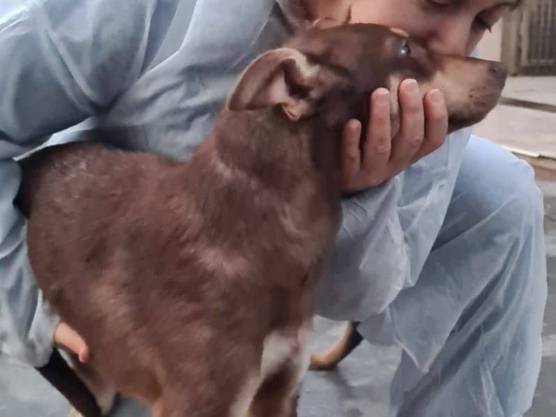 Vuoi adottare un cane a Varese?