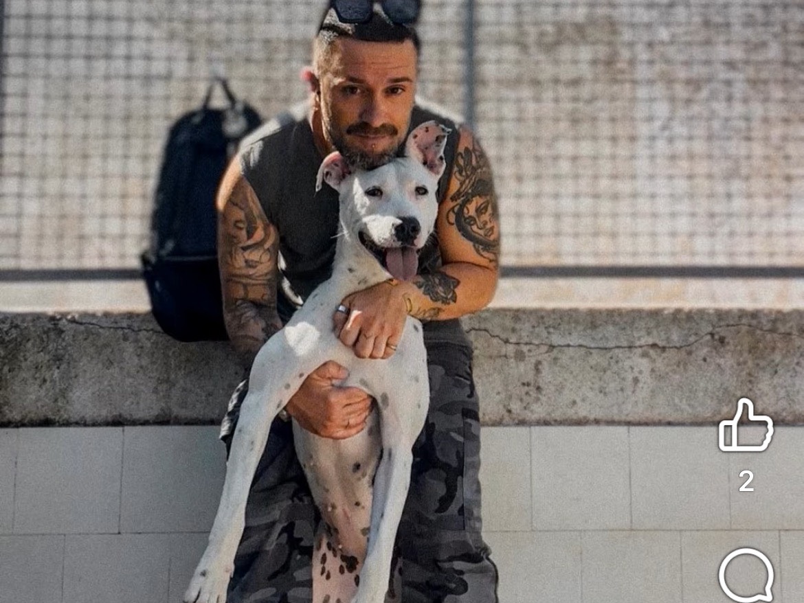 Adozione cane, femmina, Dogo Argentino Dalmata, 3 anni e 6 mesi, taglia media contenuta, Caserta