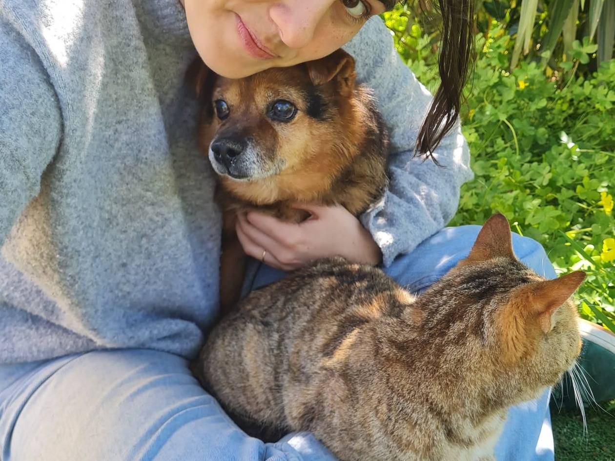 Adozione cane, maschio, Razza sconosciuta Razza sconosciuta, 11 anni e 9 mesi, taglia piccola, Catania