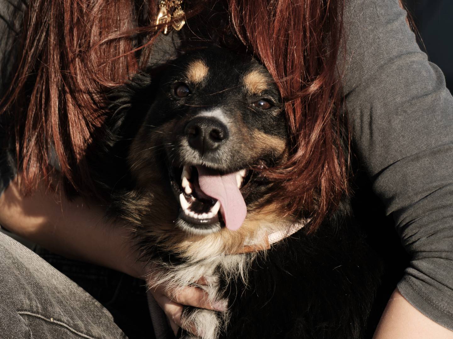 Adotta il cane Paky a Bari