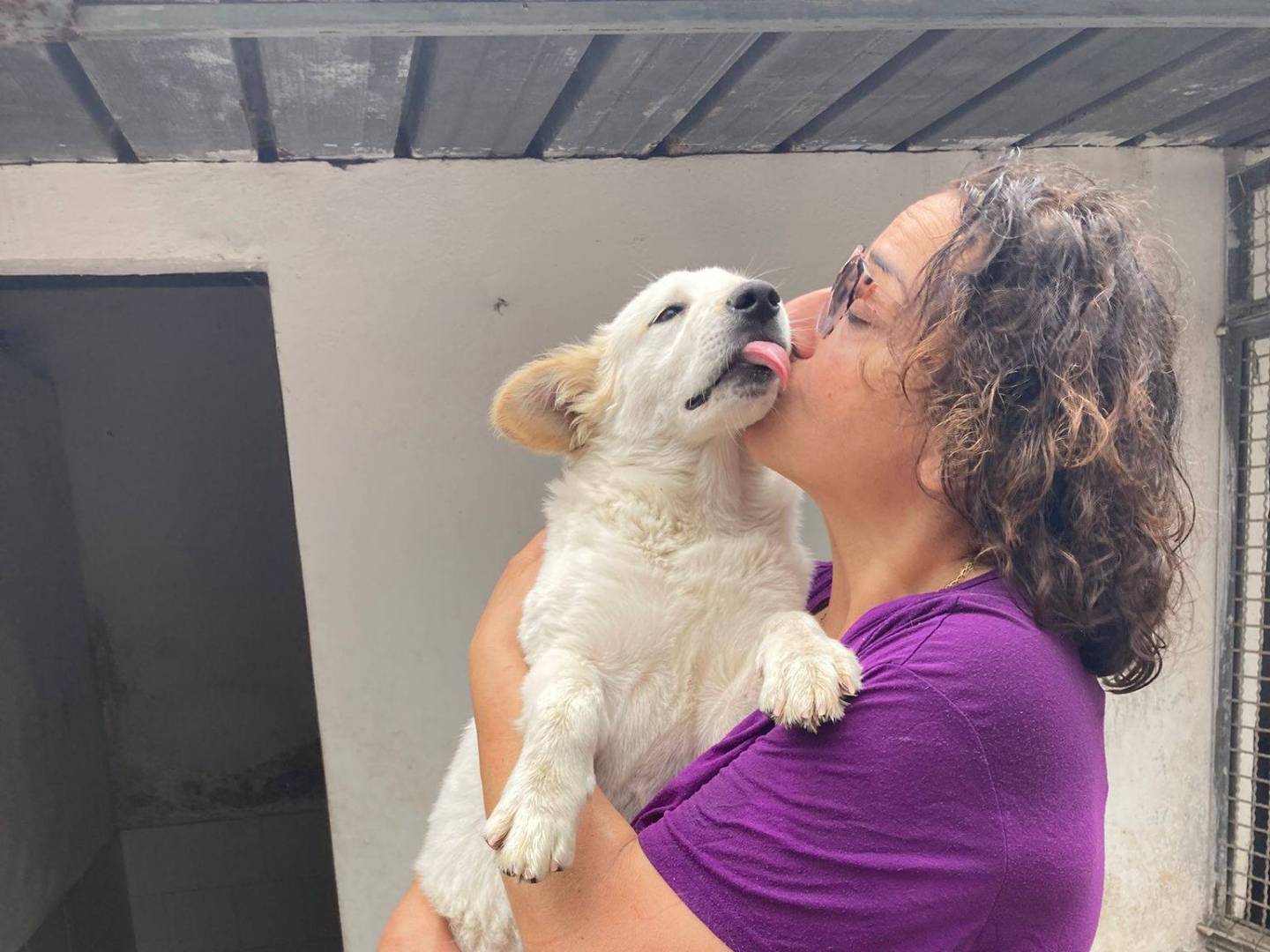 Adotta un cane, taglia media contenuta, femmina, Caserta