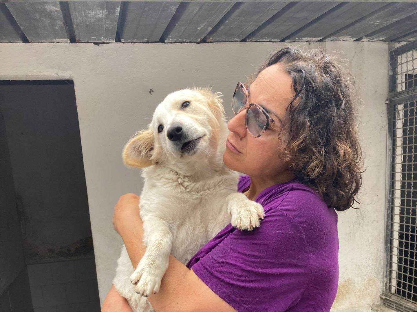 Vuoi adottare un cane a Caserta?