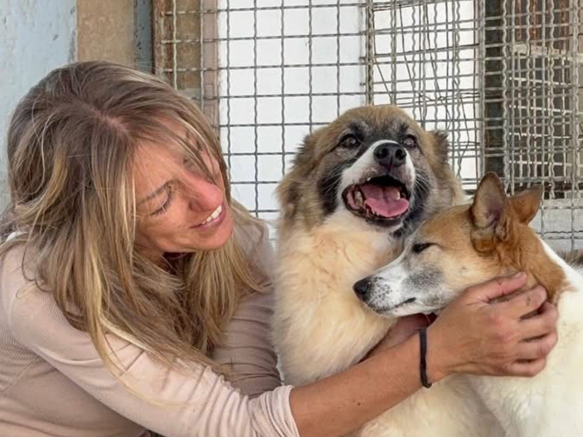 Adotta il cane Sienna a Caserta