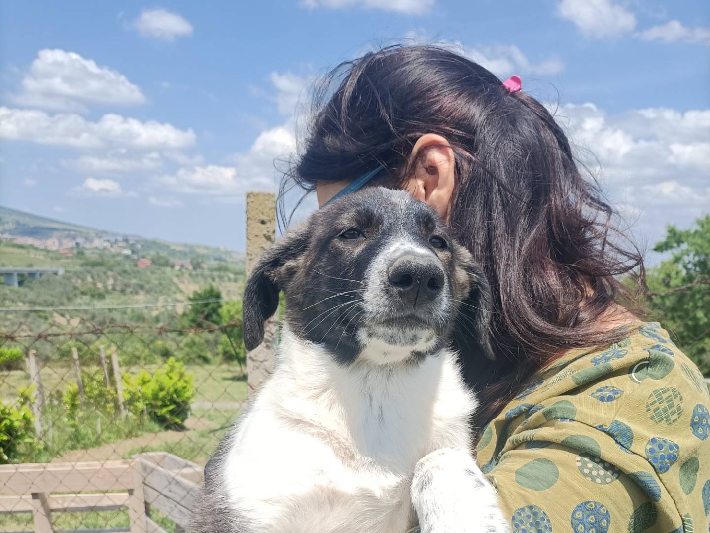 Adotta il cane Sissy a Potenza