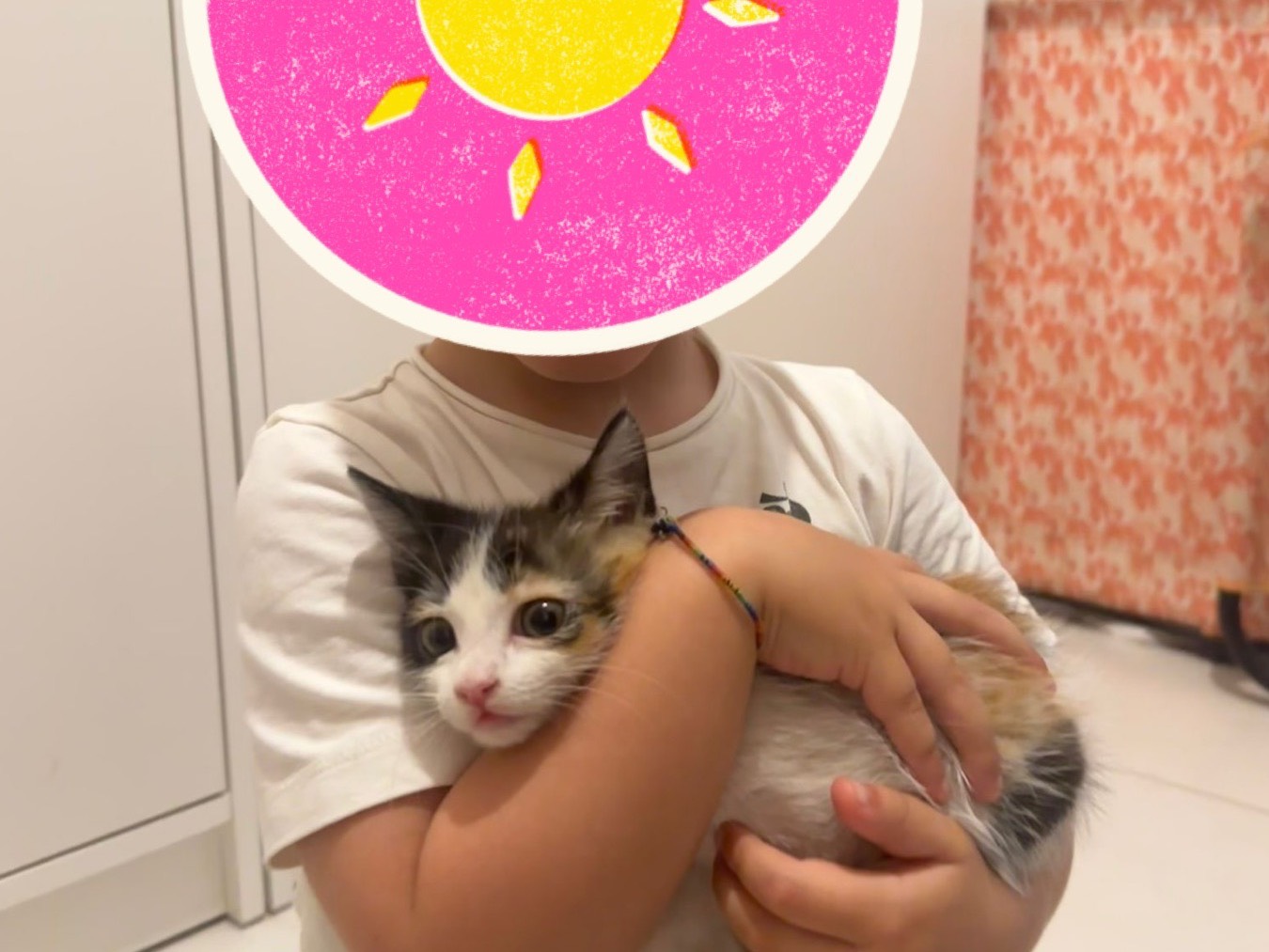 Vuoi adottare un gatto a Ascoli?
