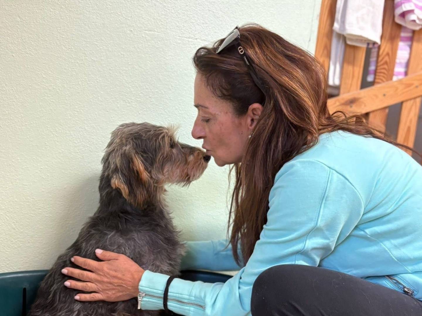 Adotta il cane Ron a Sassari