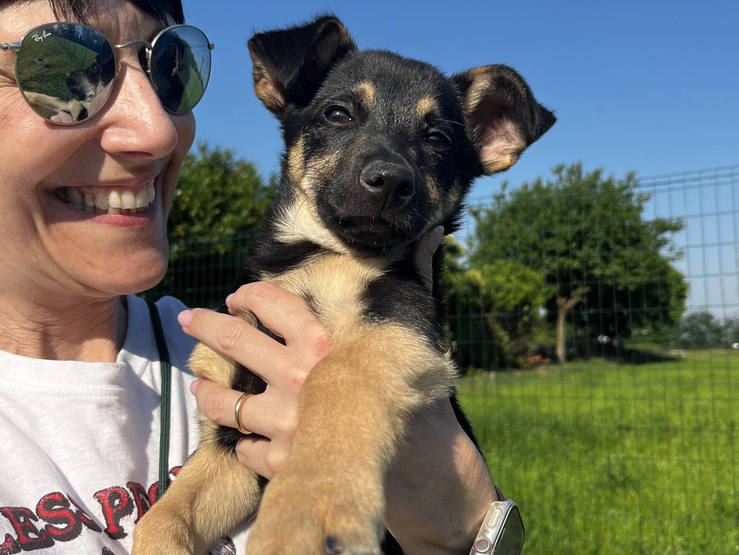 Adotta un cane, maschio, 4 mesi, Milano