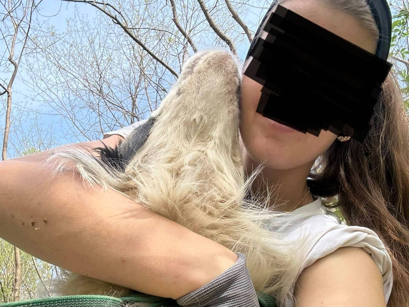 Adotta il cane ASKA a Firenze