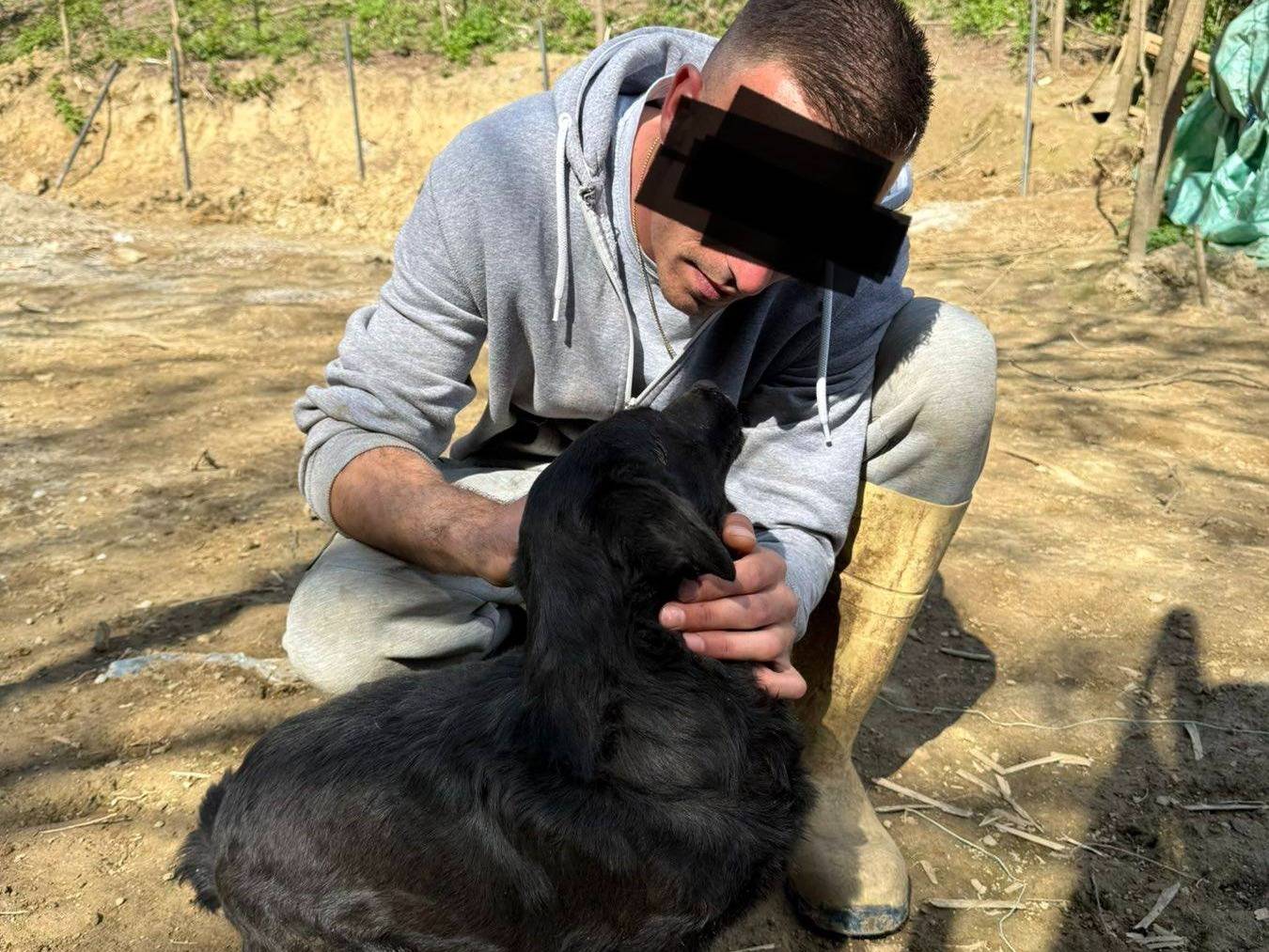 Adotta un cane, femmina, 2 anni e 10 mesi, Firenze