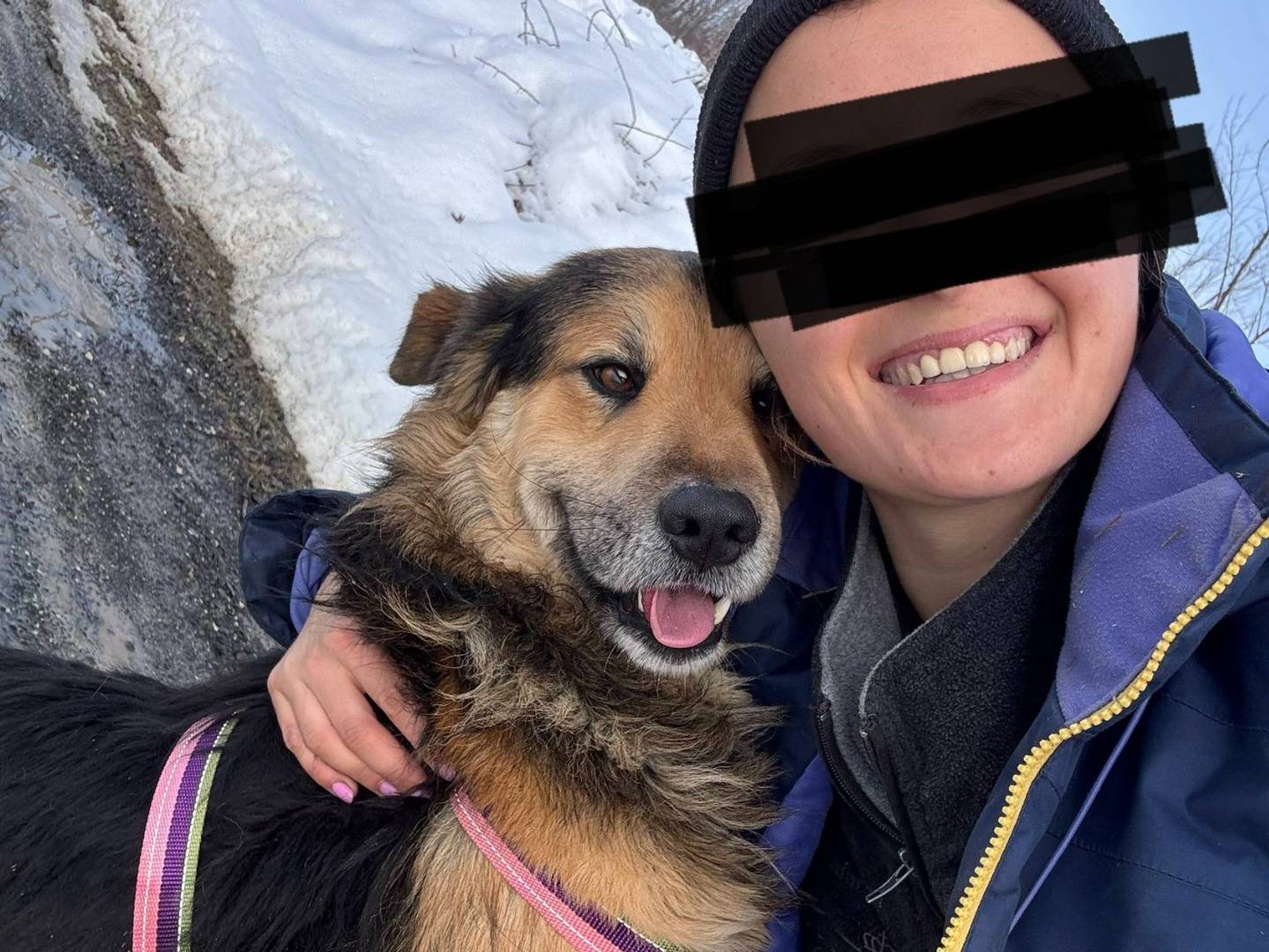 Adotta un cane, taglia media, maschio, Firenze