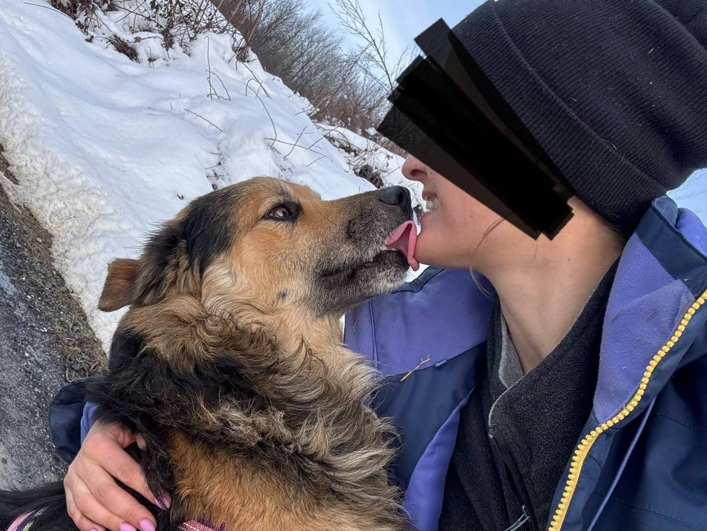 Vuoi adottare un cane a Firenze?