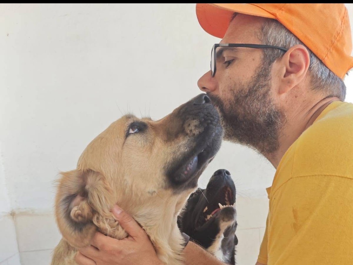 Vuoi adottare un cane a Caserta?