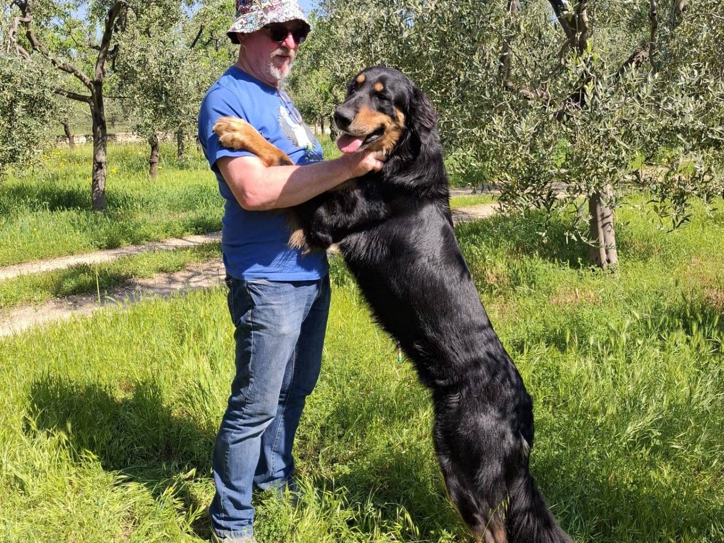 Adotta un cane, maschio, 1 anno e 6 mesi, Bari
