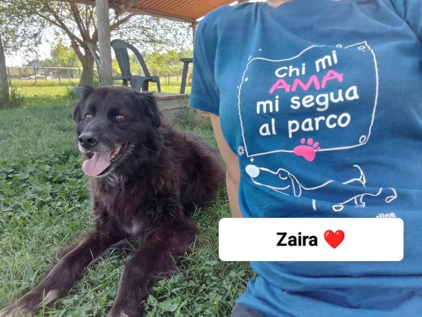 Foto 3 dell'animale