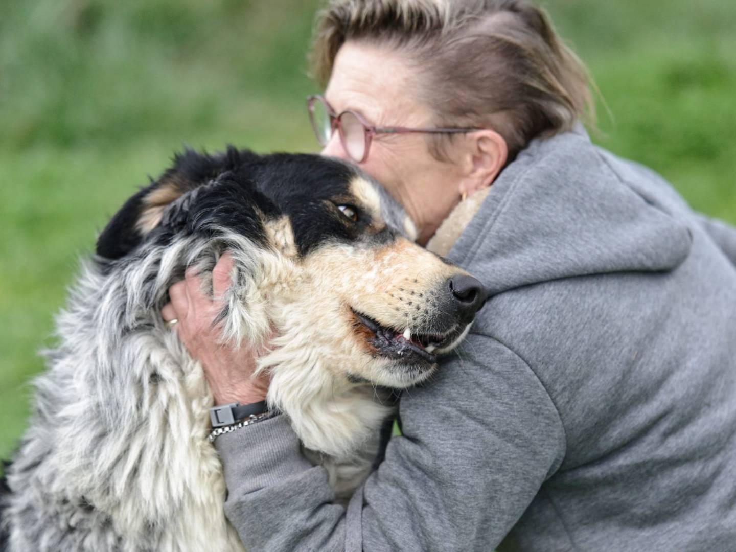 Adotta un cane, maschio, 4 anni e 1 mese, Roma