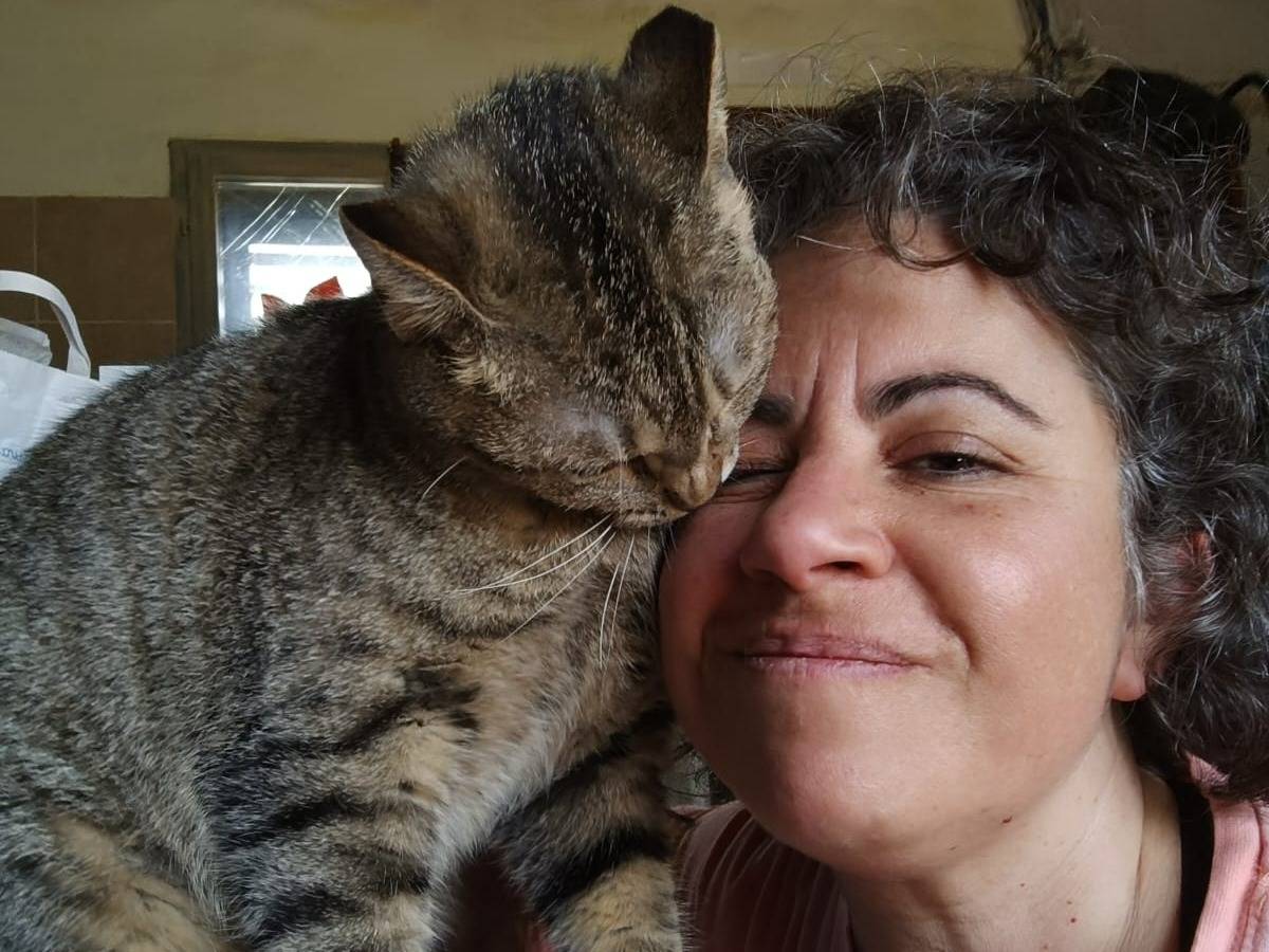 Adozione gatto, femmina, Razza sconosciuta Razza sconosciuta, 1 anno e 2 mesi, taglia non valida, Milano