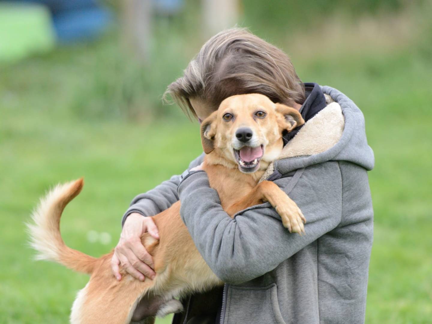 Vuoi adottare un cane a Roma?