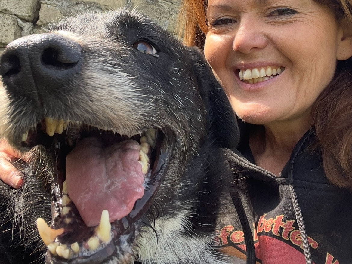 Adotta un cane, maschio, 7 anni e 6 mesi, Caserta
