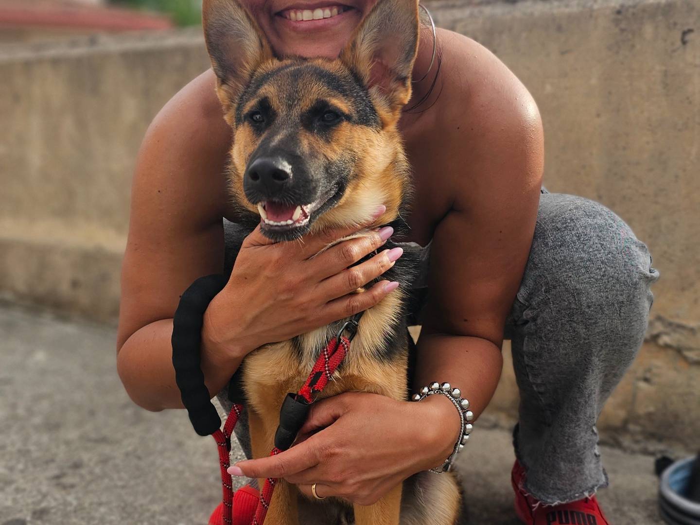 Vuoi adottare un cane a Avellino?