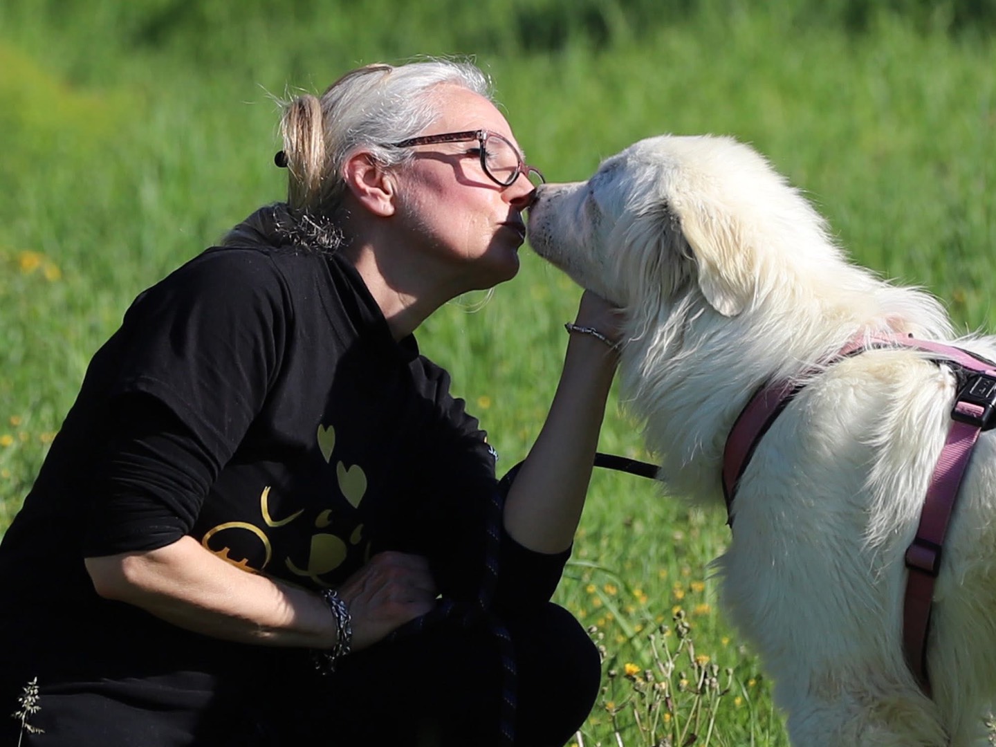Adotta il cane SOLE a Bari