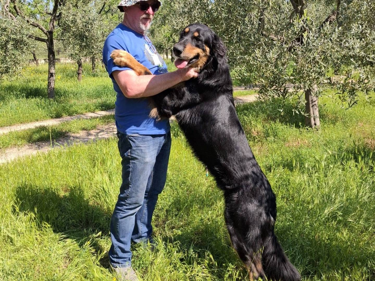Vuoi adottare un cane a Bari?