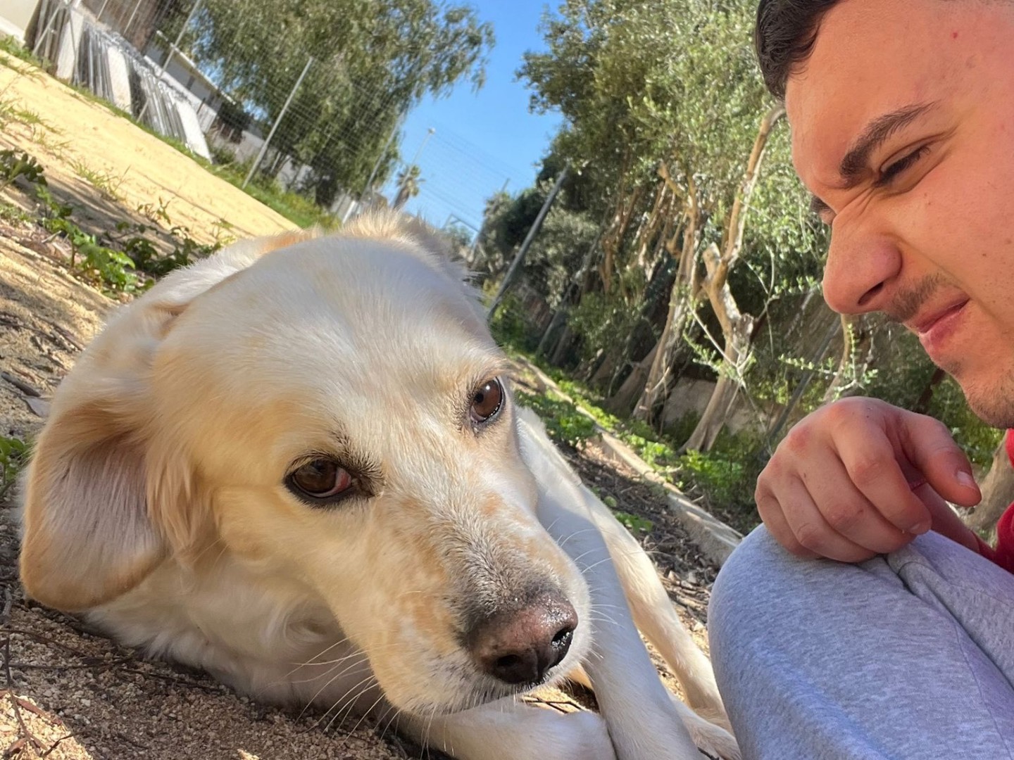 Adotta un cane, femmina, 2 anni e 8 mesi, Trapani