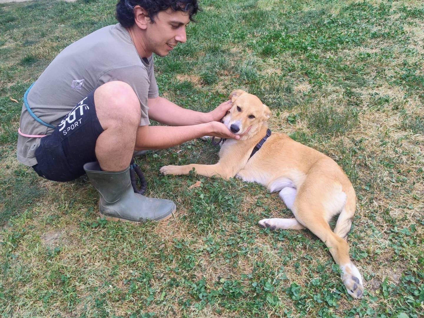 Adotta un cane, femmina, 6 mesi, Torino