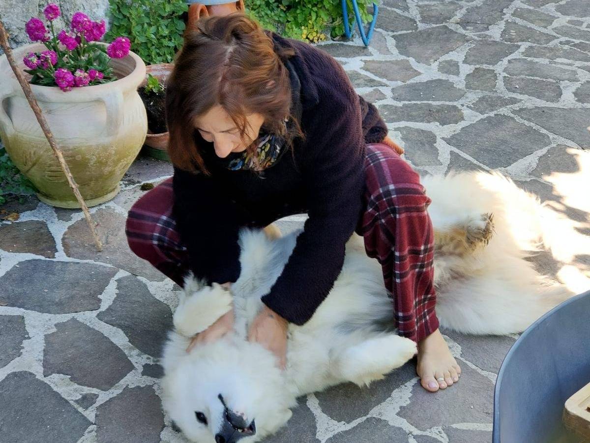 Adozione cane, maschio, Pastore maremmano Razza sconosciuta, 11 mesi, taglia grande, Rieti