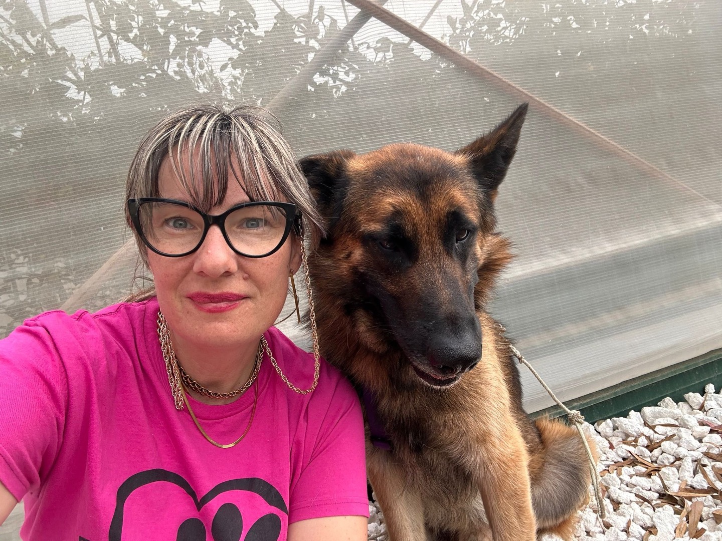 Adozione cane, maschio, Pastore tedesco Razza sconosciuta, 2 anni e 1 mese, taglia grande, Siracusa
