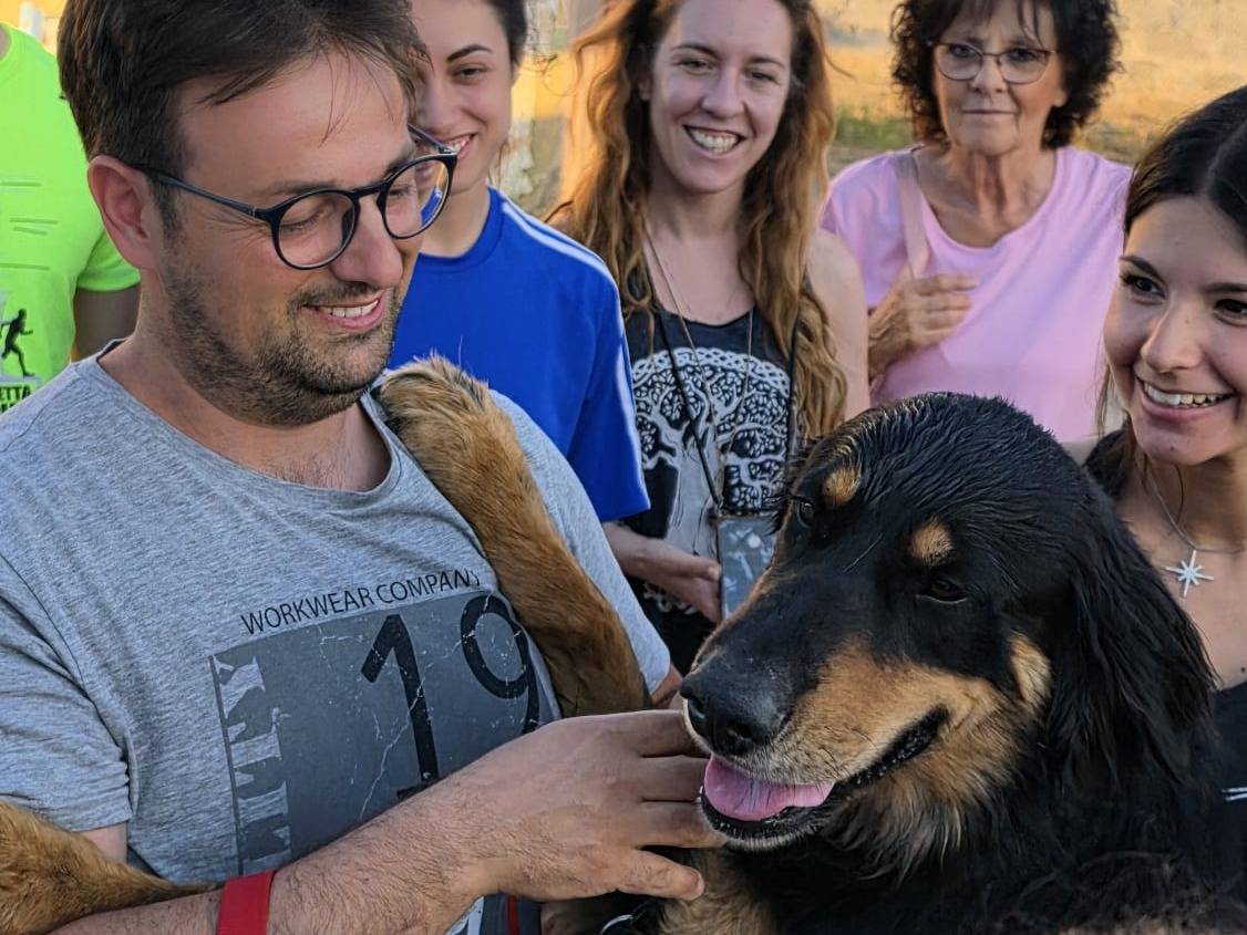 Adotta un cane, maschio, 1 anno e 1 mese, Aosta