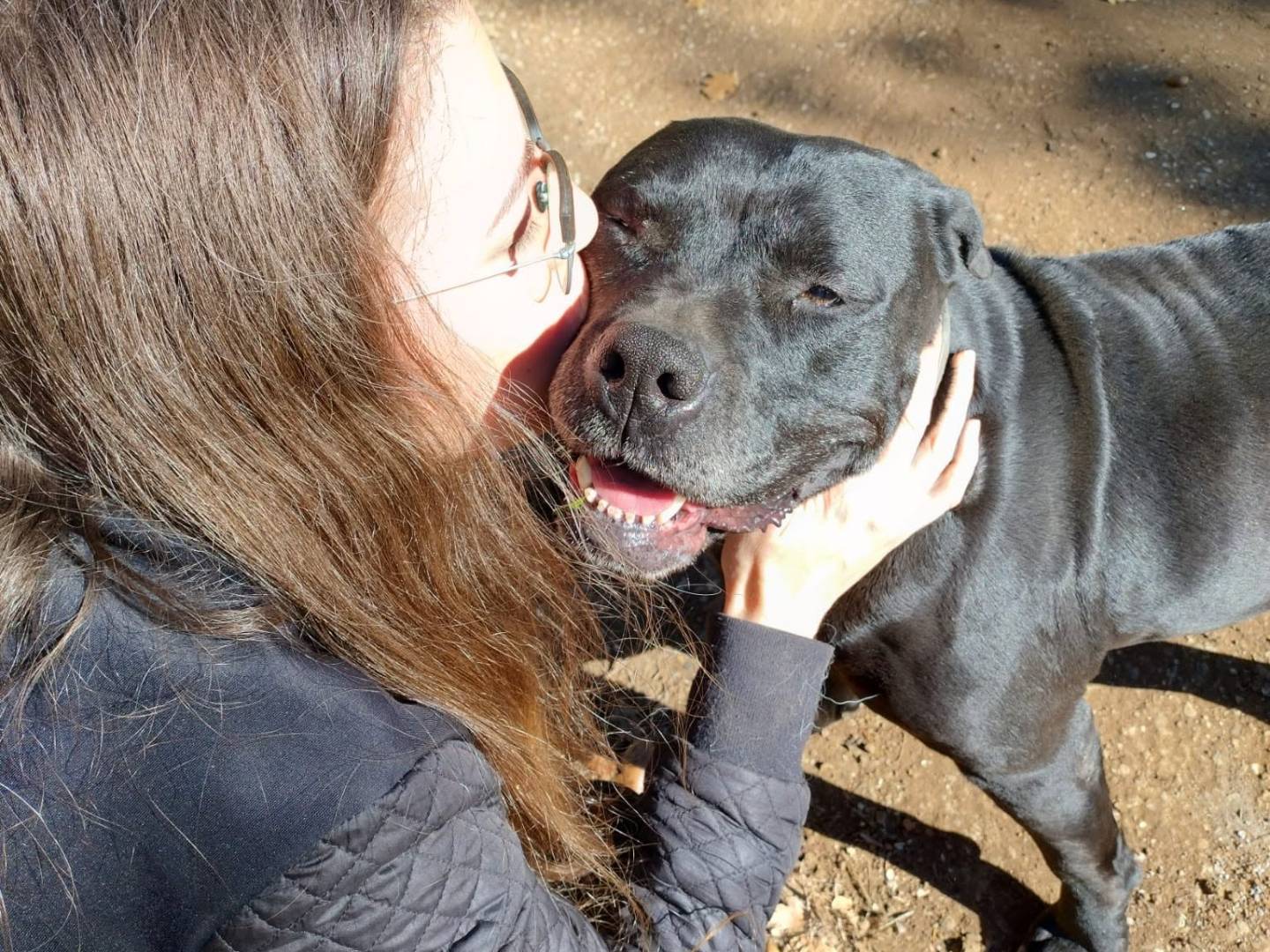 Adotta il cane Bella a Viterbo
