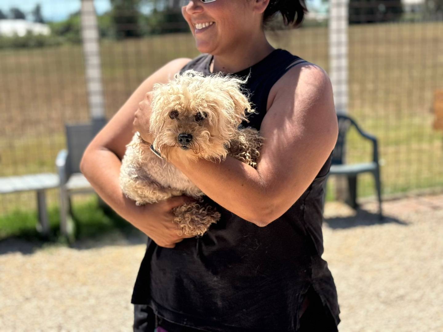Adotta un cane, femmina, 8 anni e 11 mesi, Latina