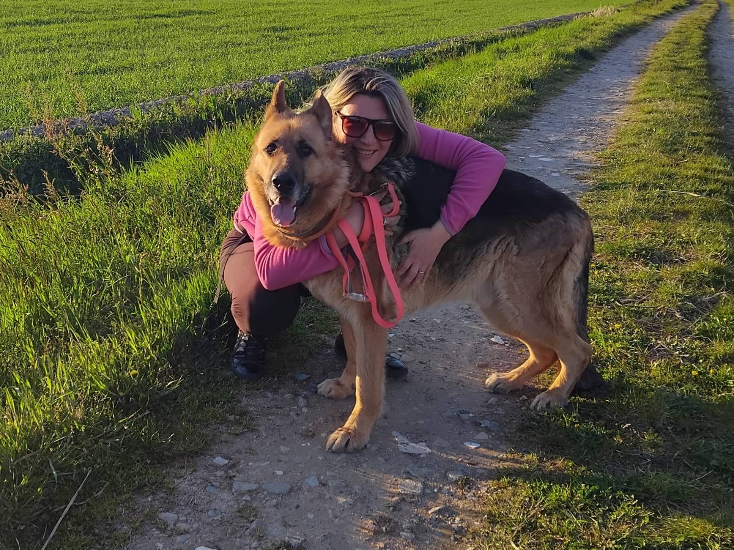Vuoi adottare un cane a Pavia?
