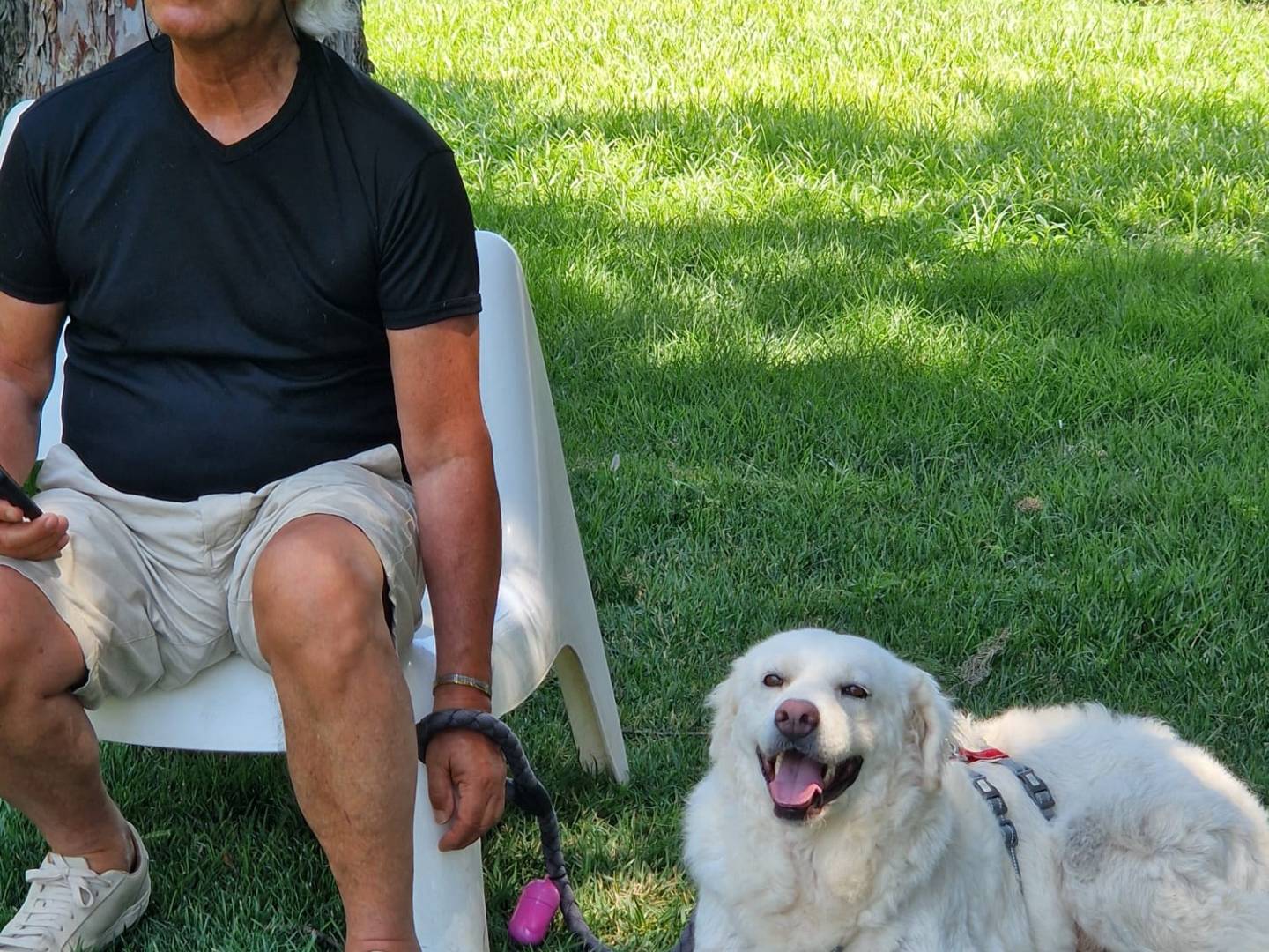 Adozione cane, femmina, Razza sconosciuta Razza sconosciuta, 2 anni e 2 mesi, taglia grande, Bari
