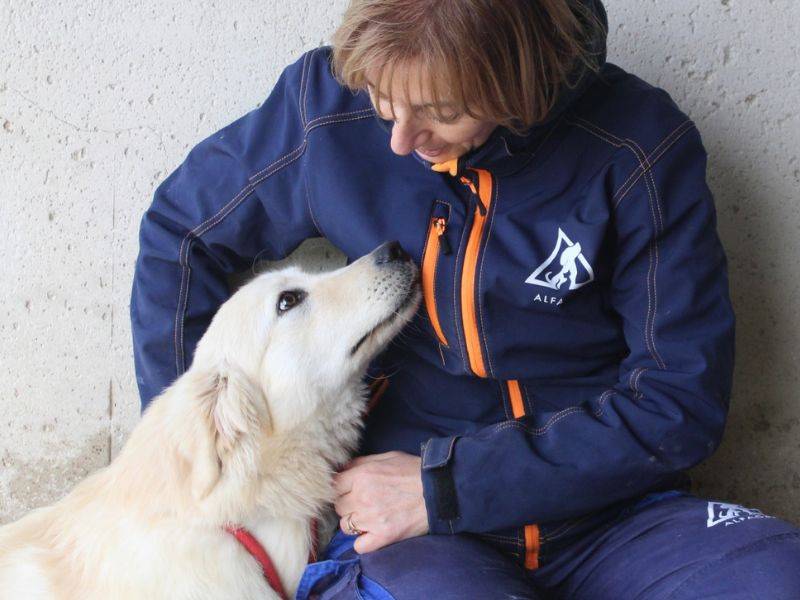Adotta un cane, taglia media, maschio, Roma
