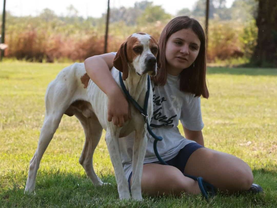 Vuoi adottare un cane a Milano?