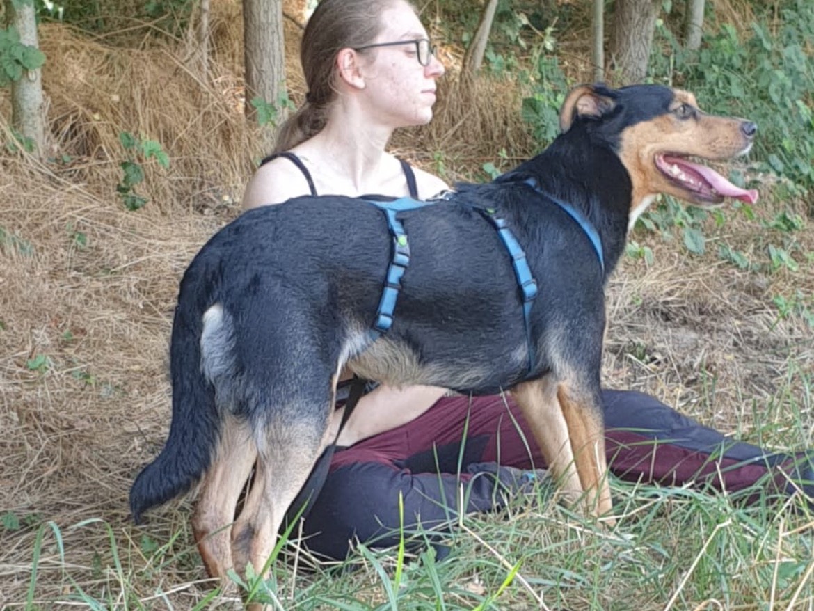Adotta un cane, femmina, 2 anni e 5 mesi, Torino