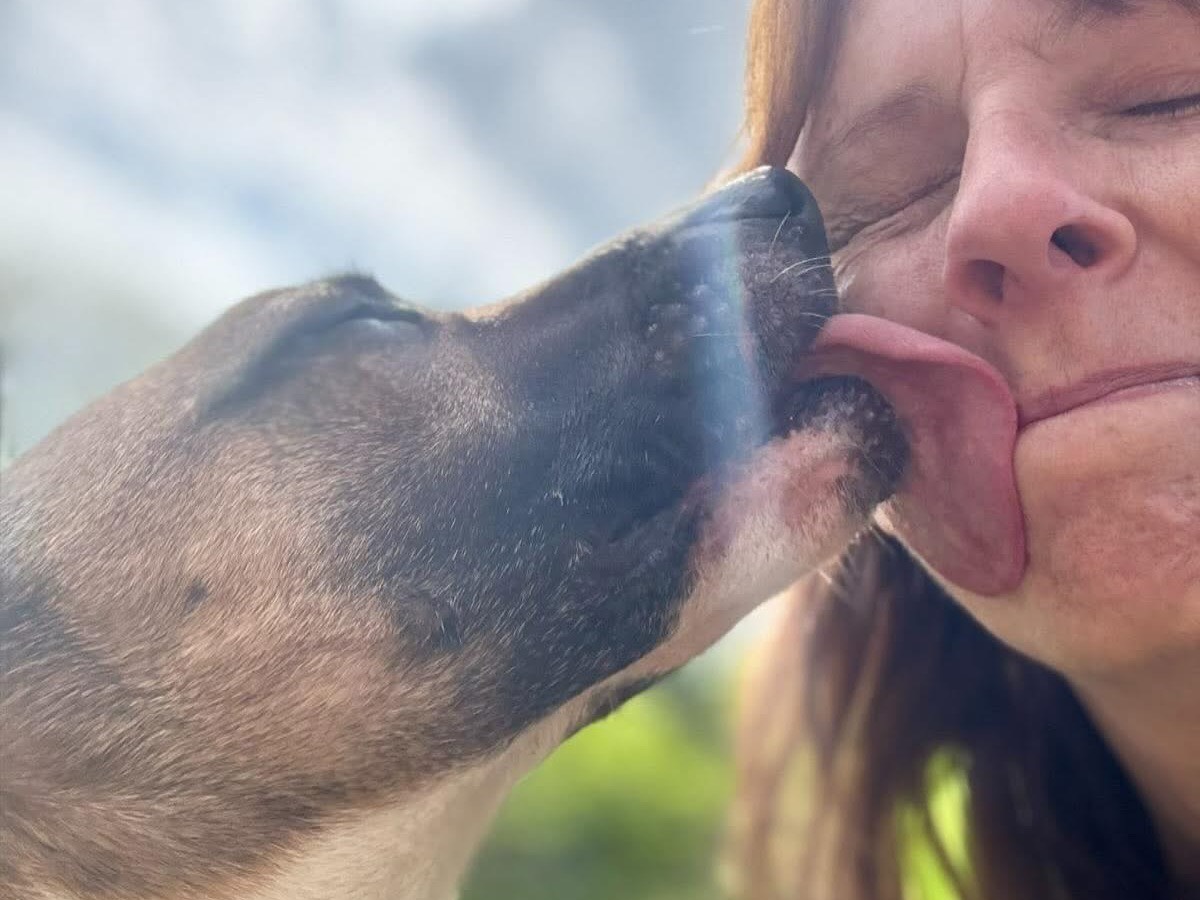 Vuoi adottare un cane a Savona?