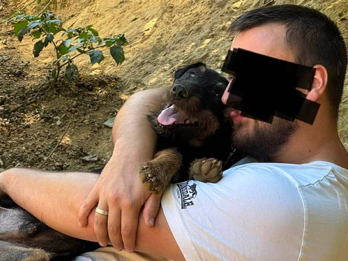 Vuoi adottare un cane a Firenze?
