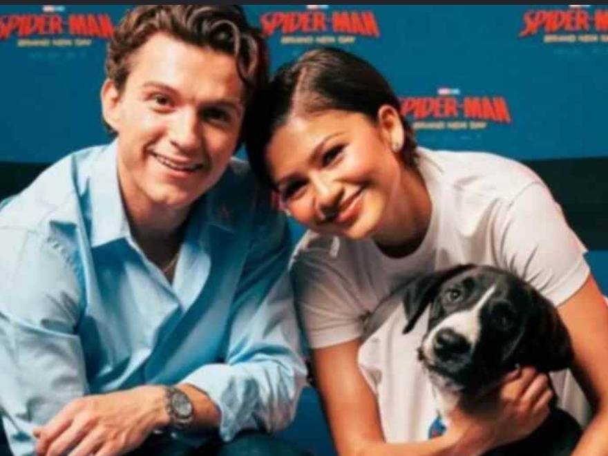 Adotta un cane, taglia media contenuta, maschio, Roma