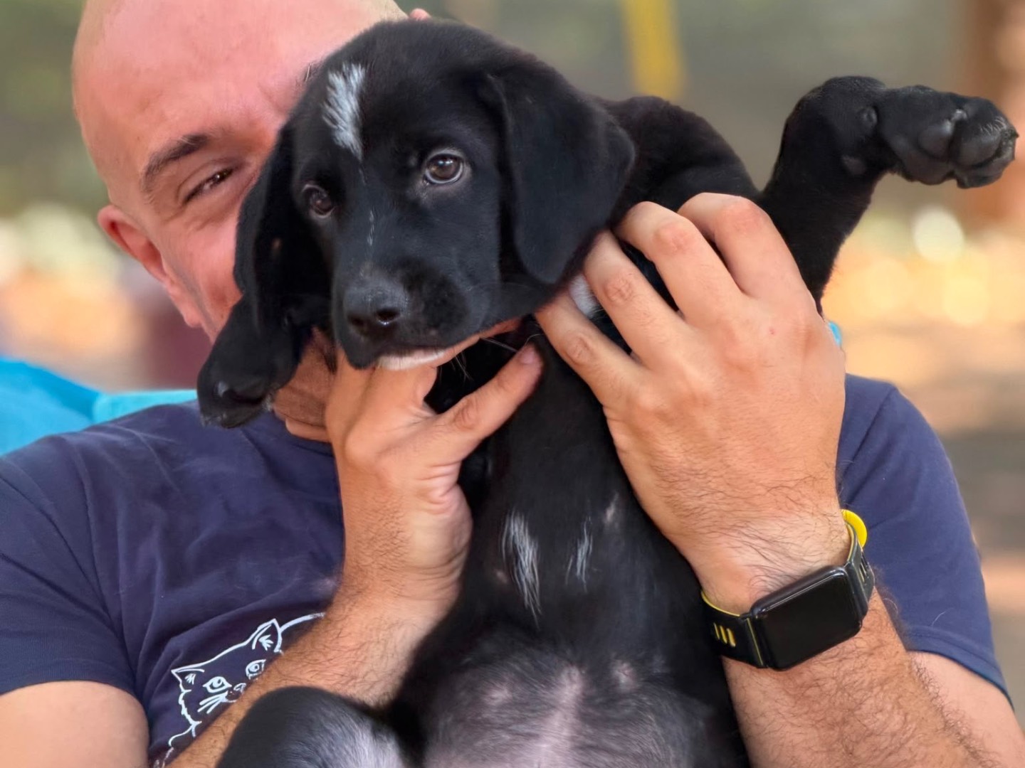 Adotta il cane Giacomo  a Milano