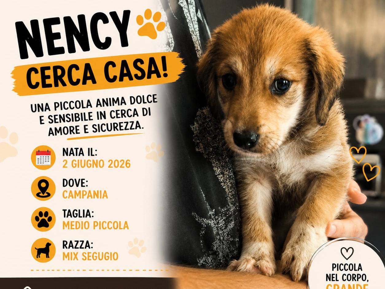 Foto 1 dell'animale